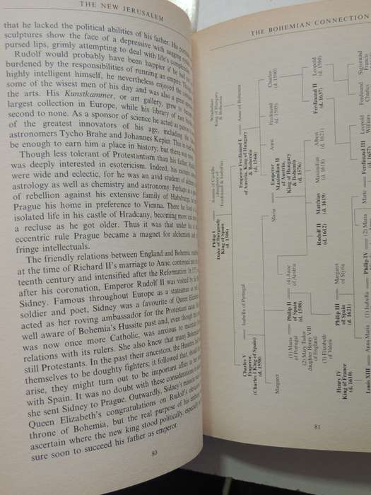 The New Jerusalem: Rebuilding London: Great Fire, Christopher Wren &The Royal SocietyAdrian Gilbert