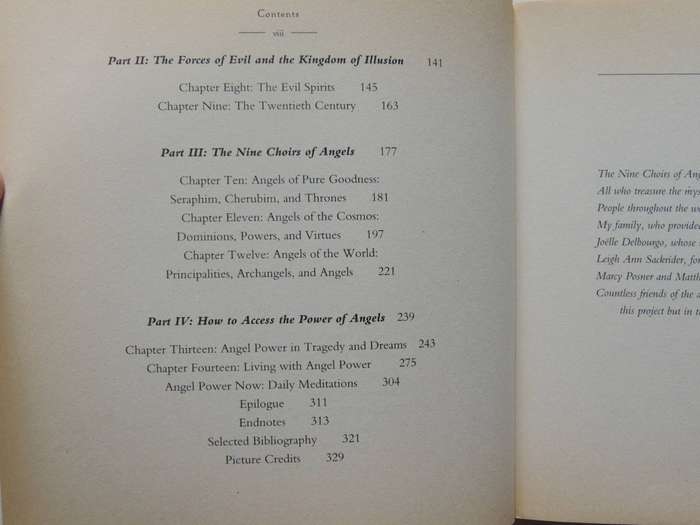Angel Power - Janice T. Connell