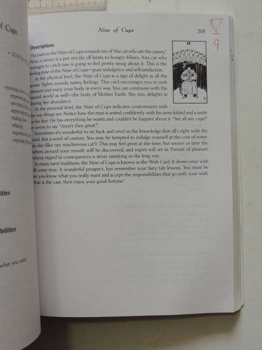 Learning The Tarot: A Tarot Book For Beginners- Joan Bunning