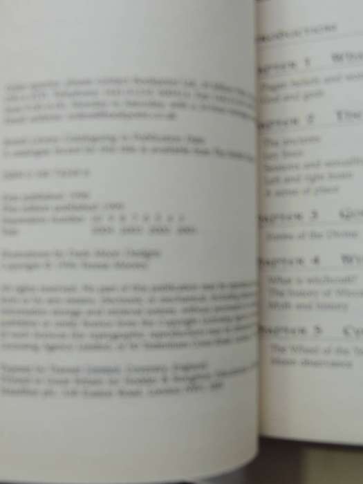 A Beginner's Guide: Paganism - Teresa Moorey