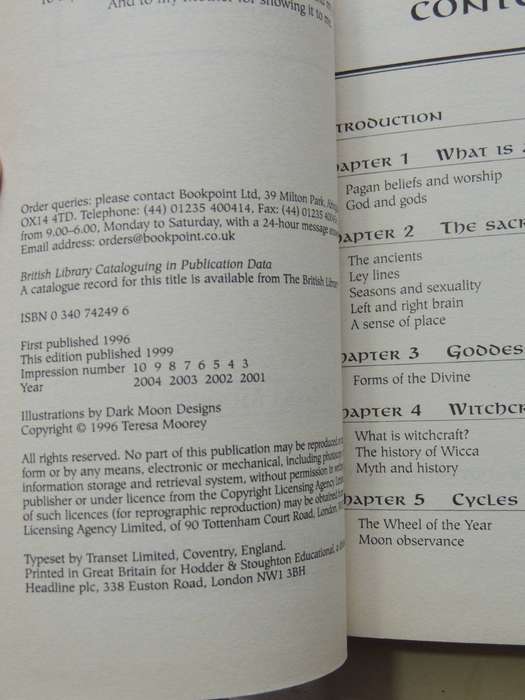 A Beginner's Guide: Paganism - Teresa Moorey