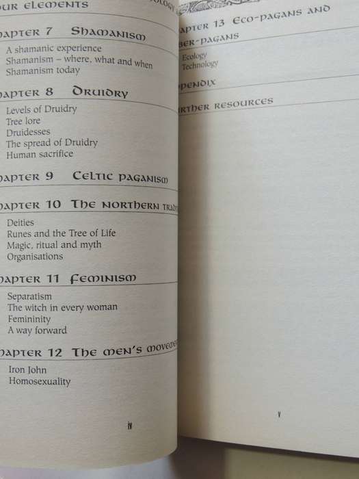 A Beginner's Guide: Paganism - Teresa Moorey