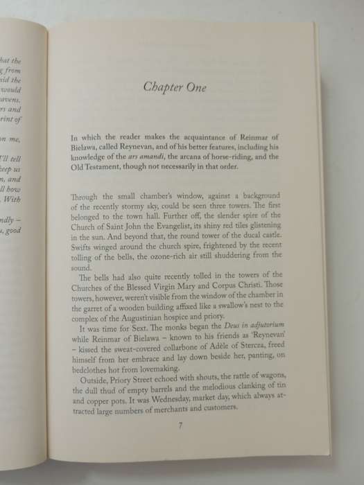 The Tower of Fools - Andrzej Sapkowski
