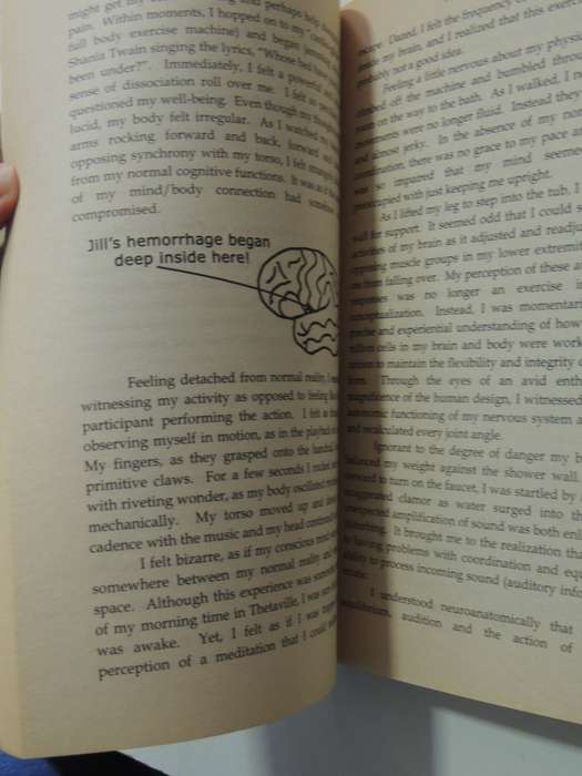 My Stroke Of Insight: A Brain Scientist's Personal Journey - Jill Bolte taylor