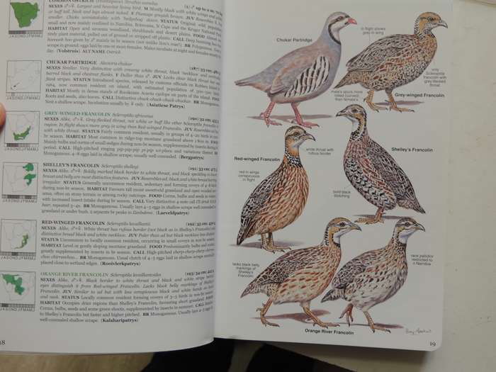 Roberts Bird Guide  - Hugh Chittenden    Reprinted 2009