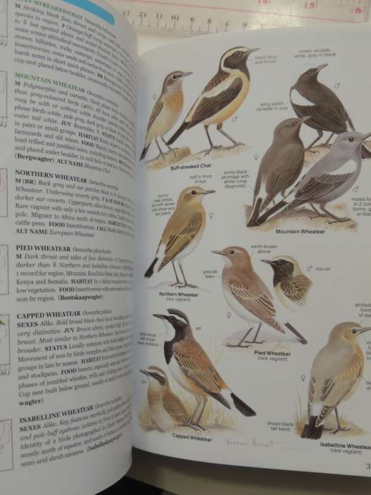 Roberts Bird Guide  - Hugh Chittenden    Reprinted 2009