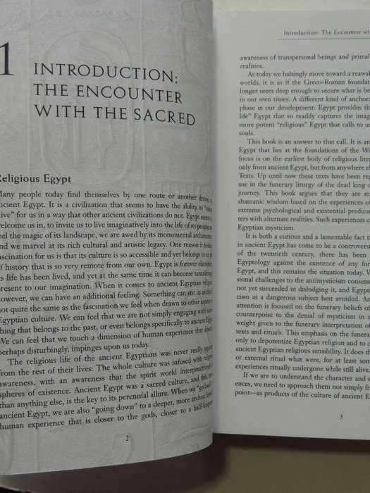 Shamanic Wisdom In The Pyramid Texts: The Mystical Tradition Of Ancient Egypt - Jeremy Naydler