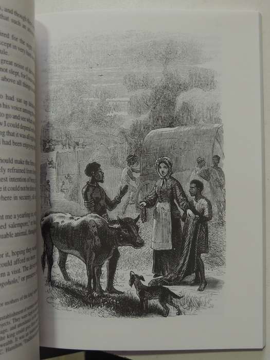 Alone Among The Zulus- Catherine Barter