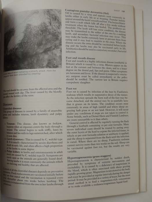 The Complete Book of Raising Livestock & Poultry, A Smallholder's Guide -  Katie Thear, Dr Alaistair