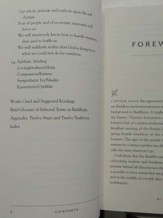 12 Steps On Buddha's Path: Bill, Buddha, And We - Laura S.