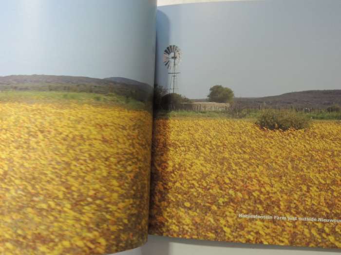 The Climax Collection: The Secret Life Of Windmills - Max And Sue Hoppe