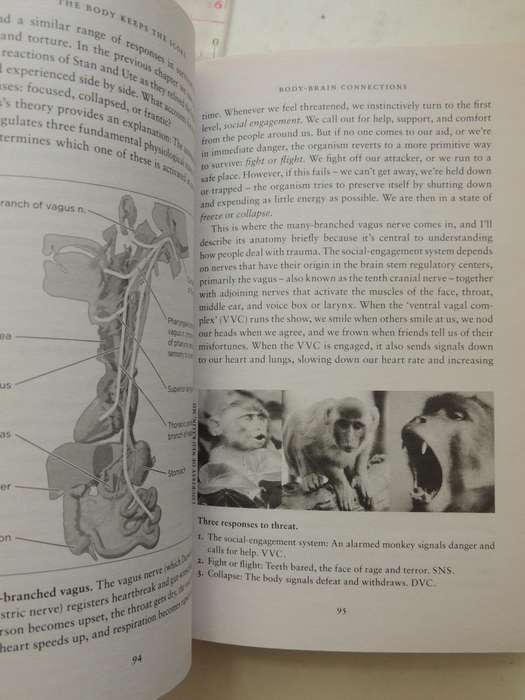 The Body Keeps the Score, Mind, Brain & Body in the Transformation of Trauma - Bessel van der Kolk