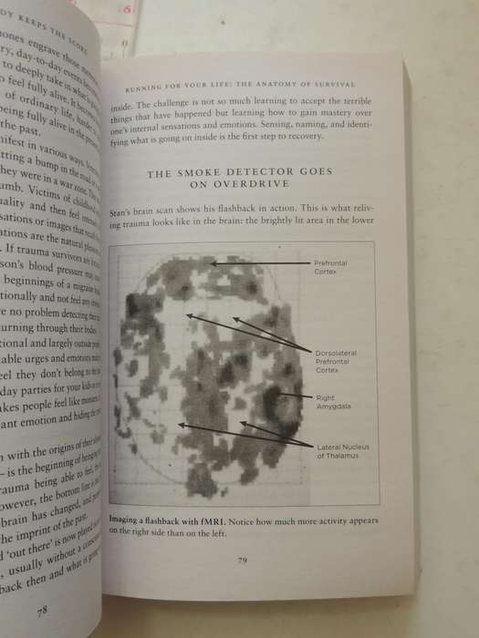 The Body Keeps the Score, Mind, Brain & Body in the Transformation of Trauma - Bessel van der Kolk
