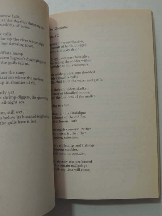 Selected Poems - Douglas Livingstone