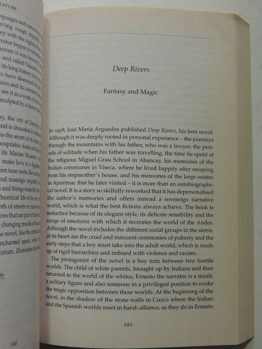 Touchstones: Essays On Literature, Art And Politics - Mario Vargas Llosa