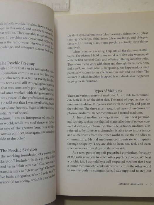 The Happy Medium - Awakening to Your Natural Intuition - Jodi Livon