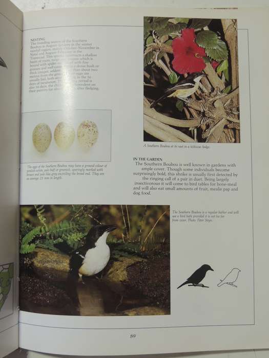 Newman's Garden Birds - Kenneth Newman