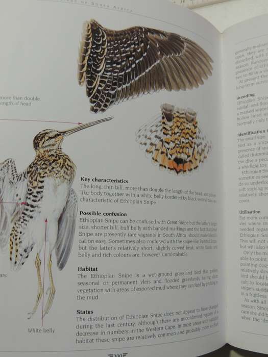 AGRED'S Gamebirds of South Africa, Field Identification & Management - PJ Viljoen