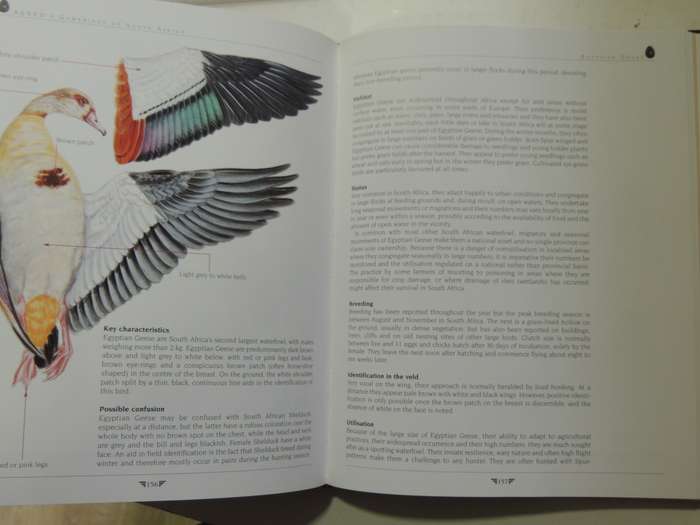 AGRED'S Gamebirds of South Africa, Field Identification & Management - PJ Viljoen