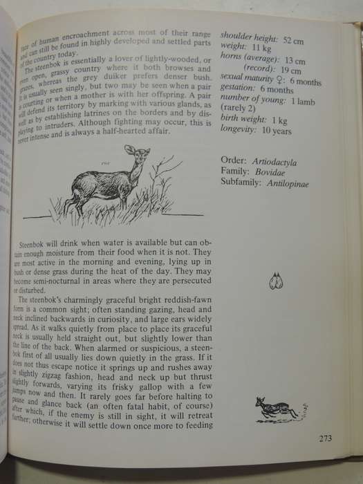 Maberly's Mammals Of Southern Africa - Richard Goss