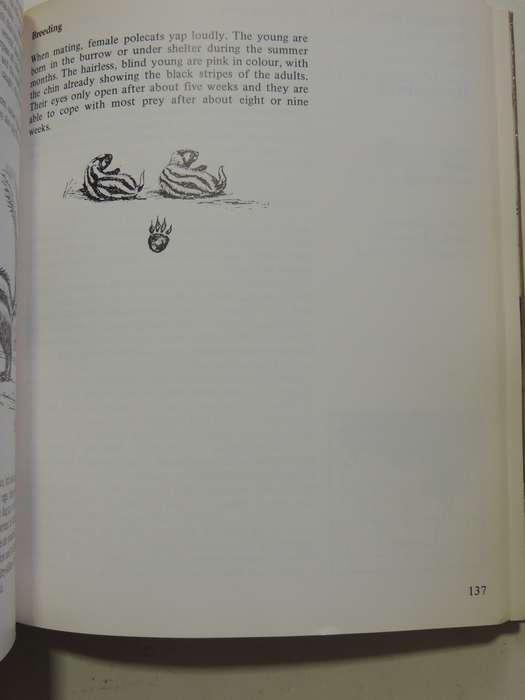 Maberly's Mammals Of Southern Africa - Richard Goss