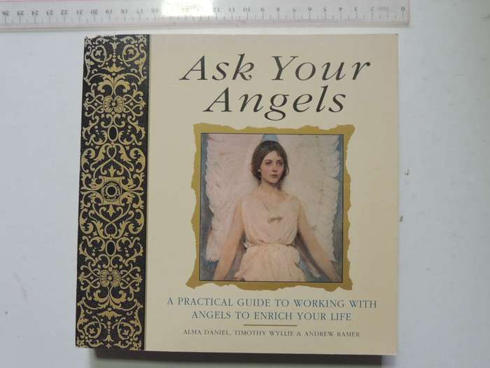 Ask Your Angels, A Practical Guide to Working with Your Angels to Enrich your Life - Alma Daniel