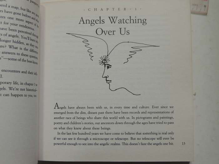 Ask Your Angels, A Practical Guide to Working with Your Angels to Enrich your Life - Alma Daniel