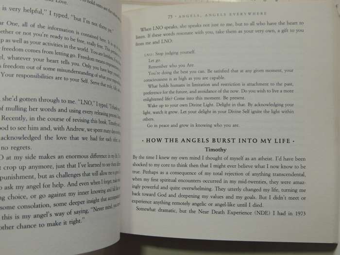 Ask Your Angels, A Practical Guide to Working with Your Angels to Enrich your Life - Alma Daniel