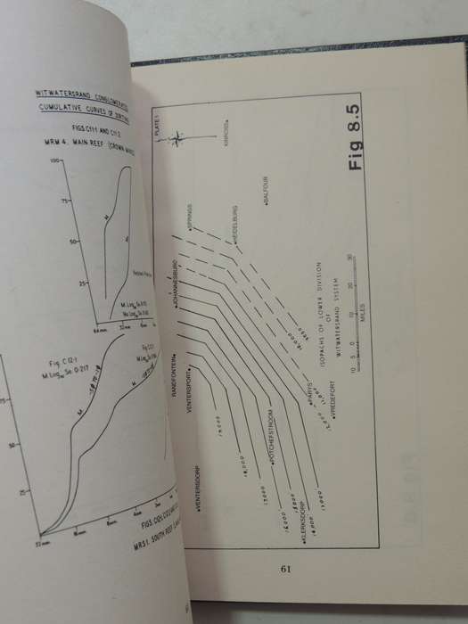 Witwatersrand Conglomerates And Pebbles- J.M. Lagrange