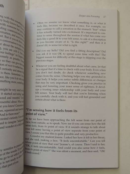 The Power Of Focusing: A Practical Guide To Emotional Self-Healing- Ann Weiser Cornell, Ph.D.