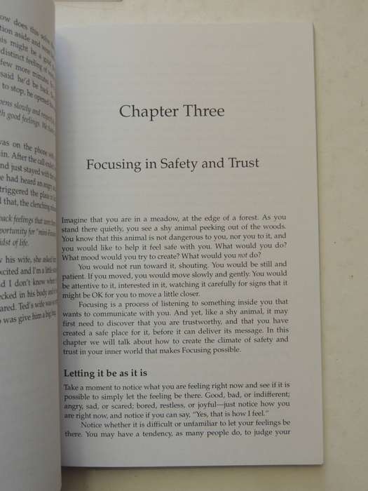 The Power Of Focusing: A Practical Guide To Emotional Self-Healing- Ann Weiser Cornell, Ph.D.