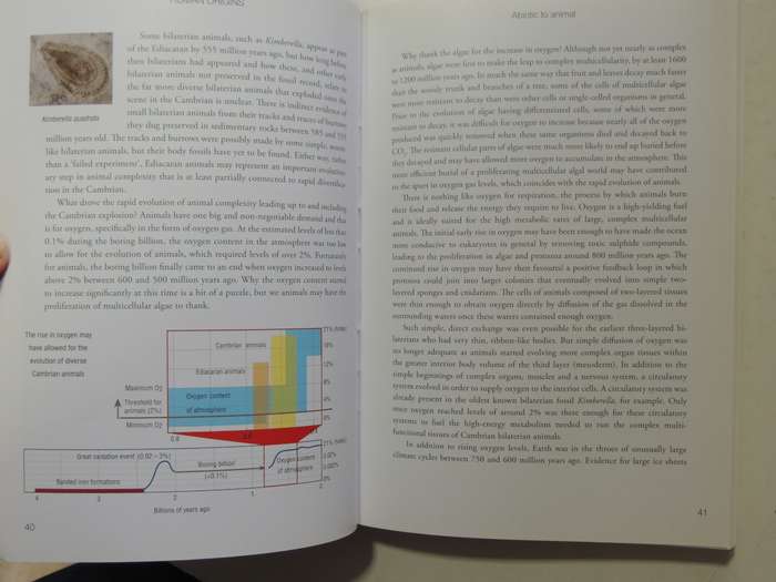 Human Origins, How Diet, Climate, & Landscape Shaped Us - John S Compton