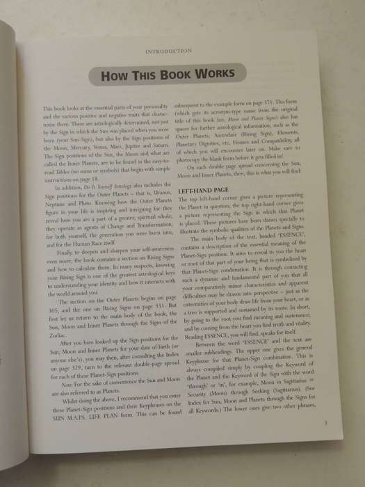 Do It Yourself Astrology: A User-Friendly Guide To Your Personality - Lyn Birkbeck