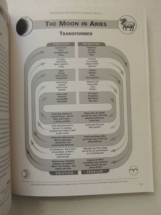 Do It Yourself Astrology: A User-Friendly Guide To Your Personality - Lyn Birkbeck