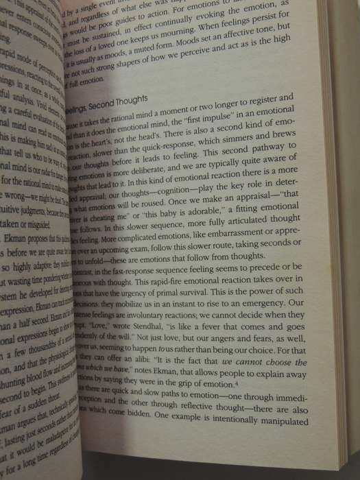 Emotional Intelligence & Working with Emotional Intelligence - Daniel Goleman    Omnibus