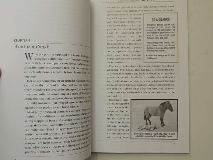 Understanding The Pony: Your Guide To Horse Health Care And Management - Karen Briggs