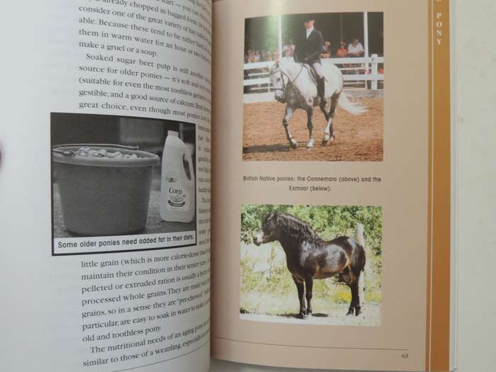 Understanding The Pony: Your Guide To Horse Health Care And Management - Karen Briggs