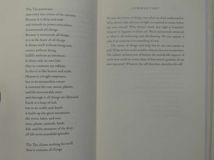 The Second Book of the Tao - Stephen Mitchell
