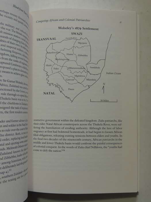 Blood From Your Children: The Colonial Origins Of Generational Conflict In S Africa -Benedict Carton