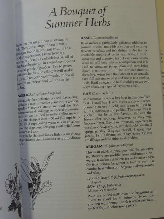 Treasury of Herbs - Margaret Roberts