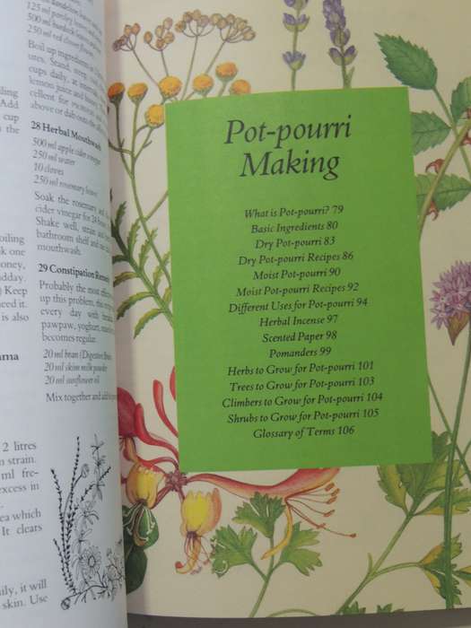 Treasury of Herbs - Margaret Roberts