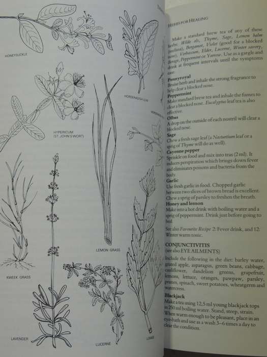 Treasury of Herbs - Margaret Roberts