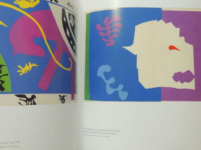 Henri Matisse - Rhythm and Meaning- Federico Freschi (Ed.)