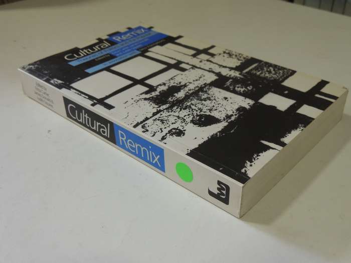 Cultural Remix: Theories Of Politics And The Popular - ed Erica Carter, James Donald, Judith Squires