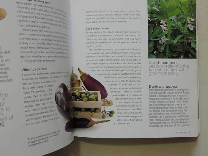 Vegetable Gardening: Growing And Harvesting Vegetables