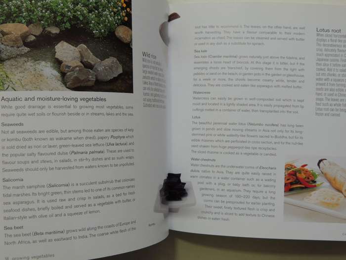 Vegetable Gardening: Growing And Harvesting Vegetables