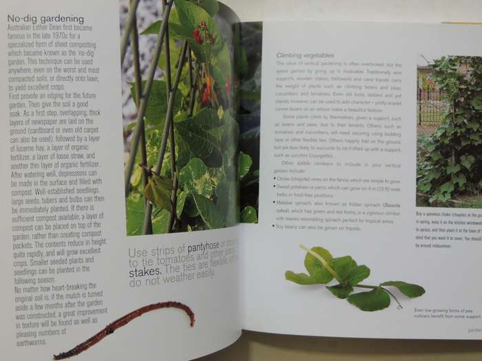 Vegetable Gardening: Growing And Harvesting Vegetables