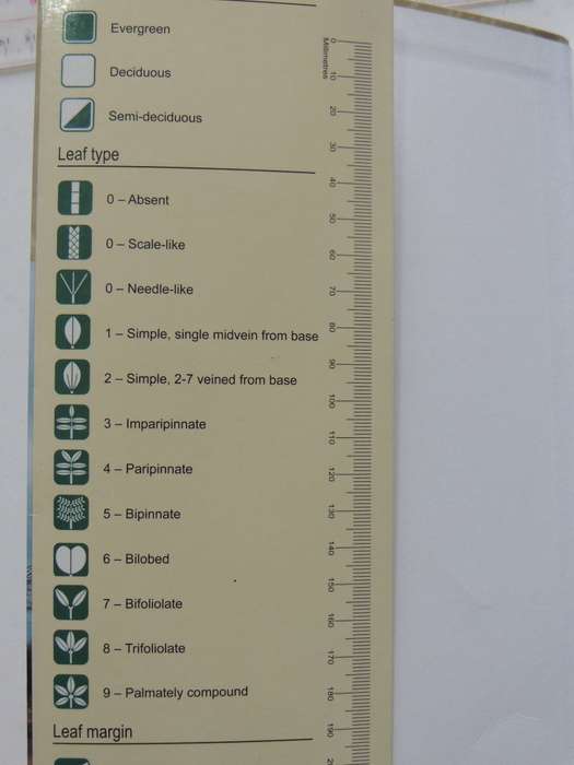 Photo Guide To Trees Of Southern Africa - Braam Van Wyk, Piet Van Wyk & Ben-Erik Van Wyk