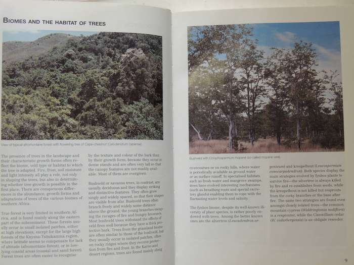 Photo Guide To Trees Of Southern Africa - Braam Van Wyk, Piet Van Wyk & Ben-Erik Van Wyk