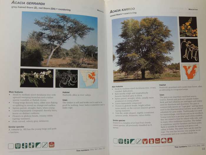 Photo Guide To Trees Of Southern Africa - Braam Van Wyk, Piet Van Wyk & Ben-Erik Van Wyk